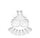 NSS IT Wing Logo