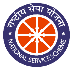 nss logo